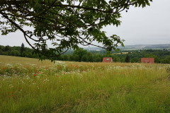 Tieffurt-03